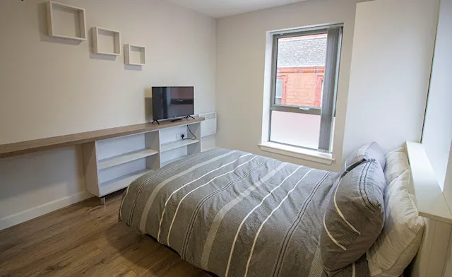 Premier Studio room image 2