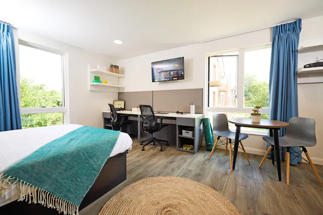 Premium Plus room image 2