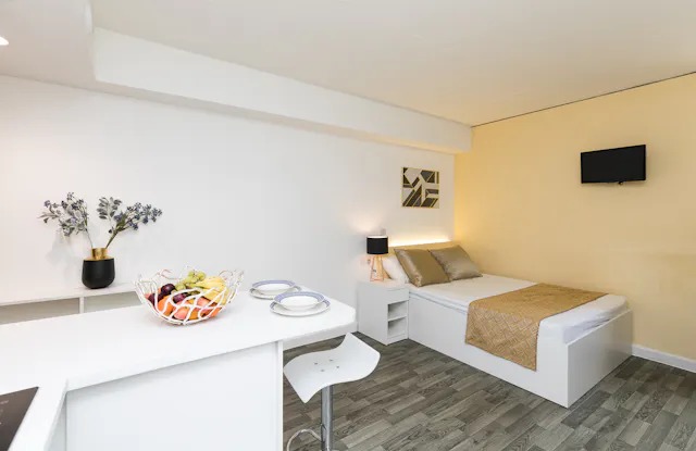 Premium Plus Single Occupancy room image 1