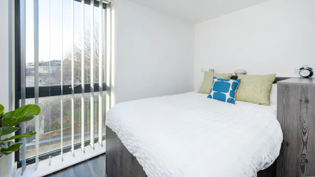 Premium Studio room image 1