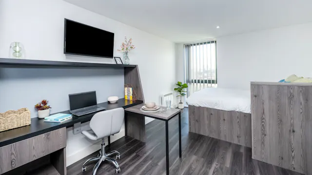 Premium Studio room image 2
