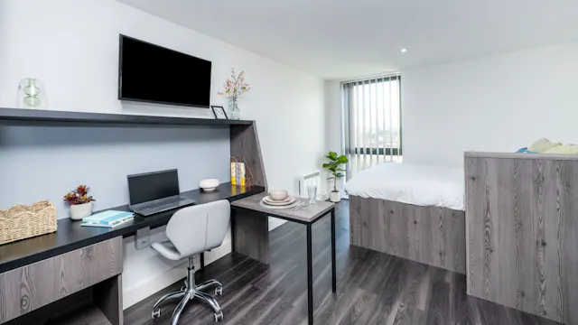 Premium Studio room image 2