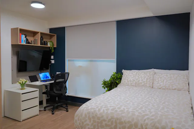 Premium Studio room image 1