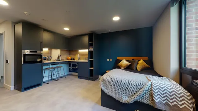 Premium Accessible Studio room image 1