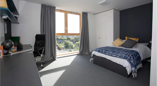 Premium Accessible Studio room image 1