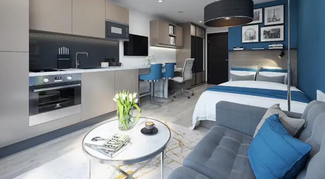 Premium Double Apartment room image 2
