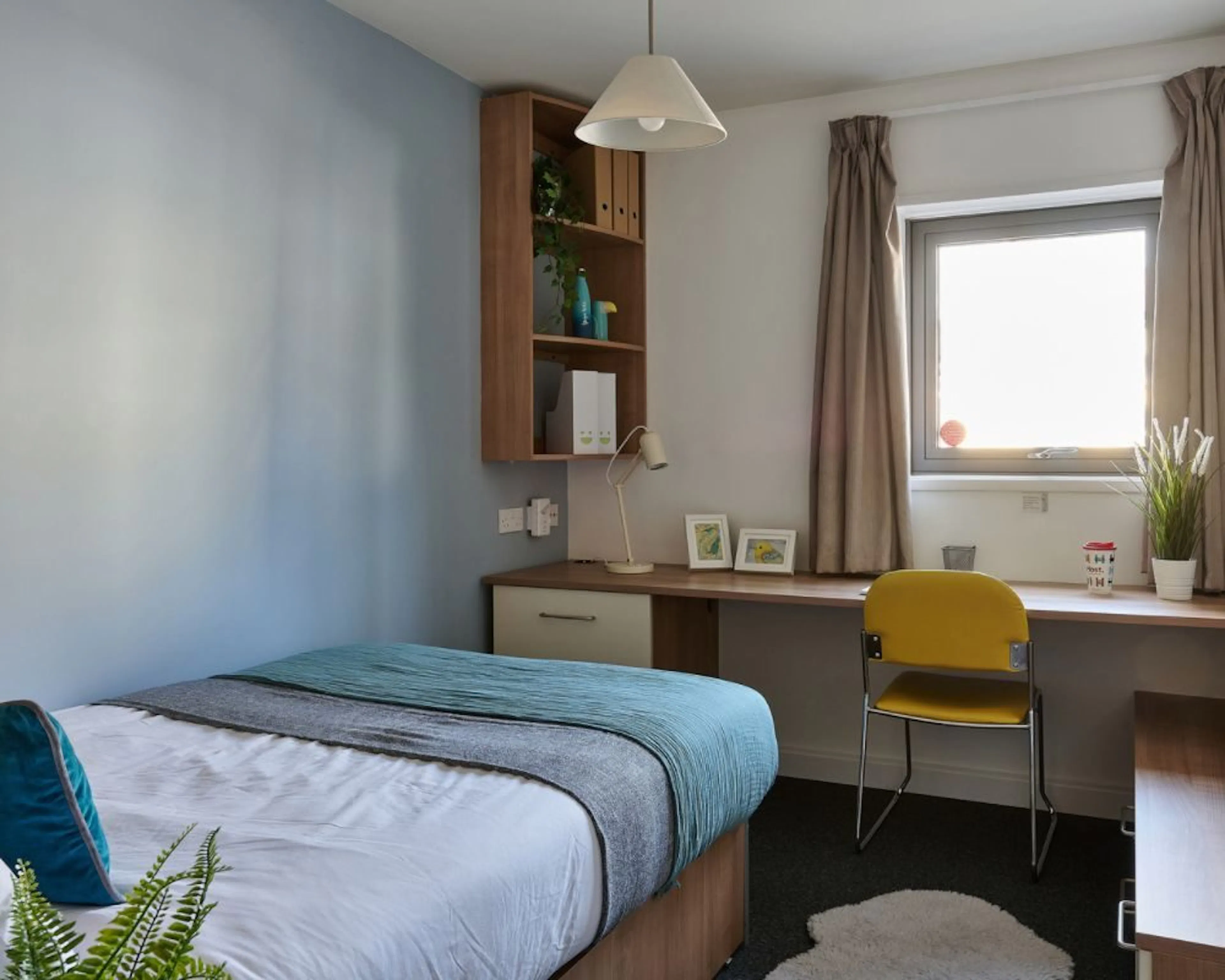Premium ROOM 4