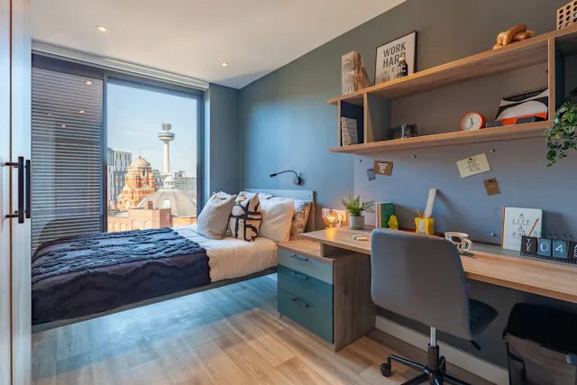 Premium En Suite City View room image 1