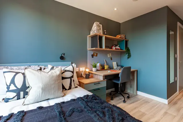 Premium En Suite City View room image 2