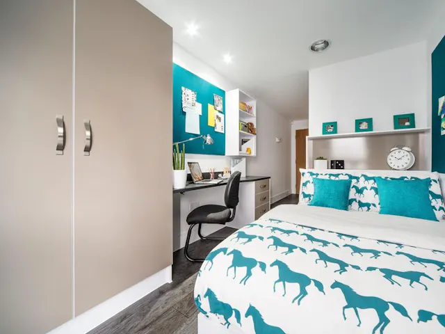 Premium room image 1