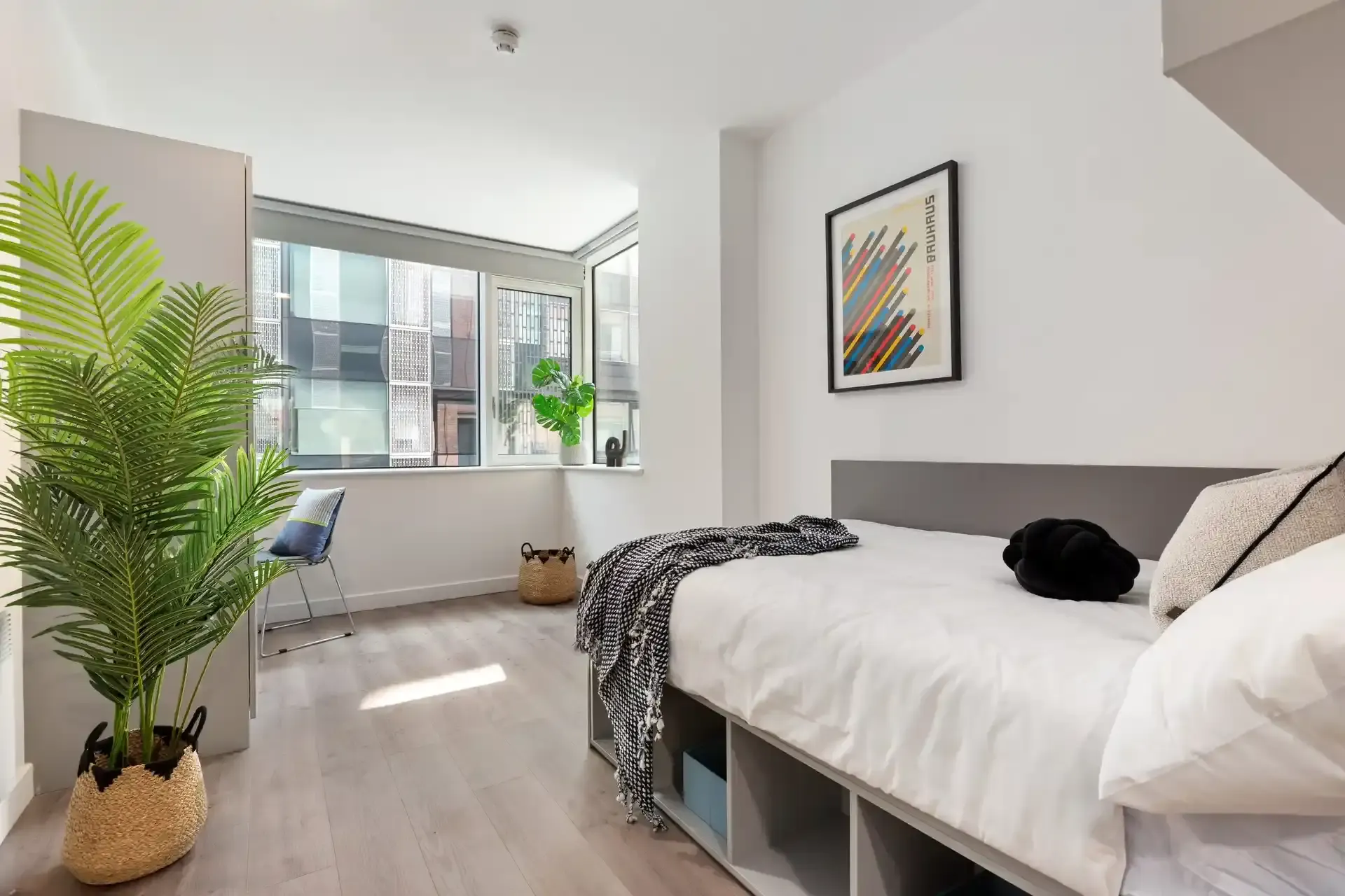 Dublin Nest - Point Campus 5