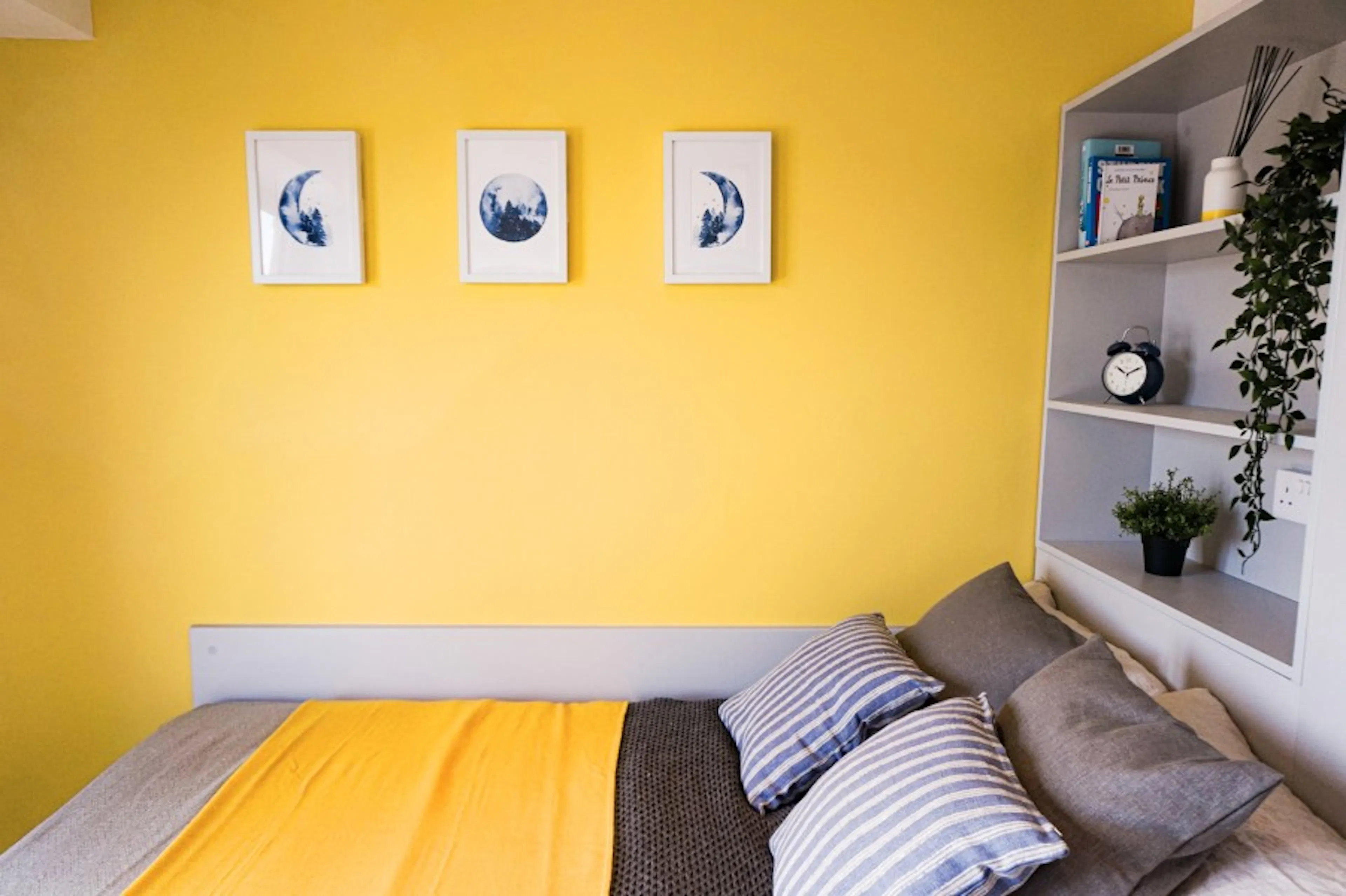 ROOM ROOM 3