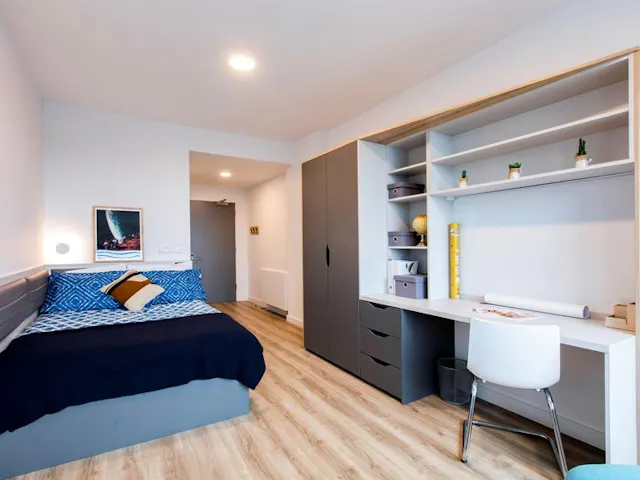 Premium Plus room image 1