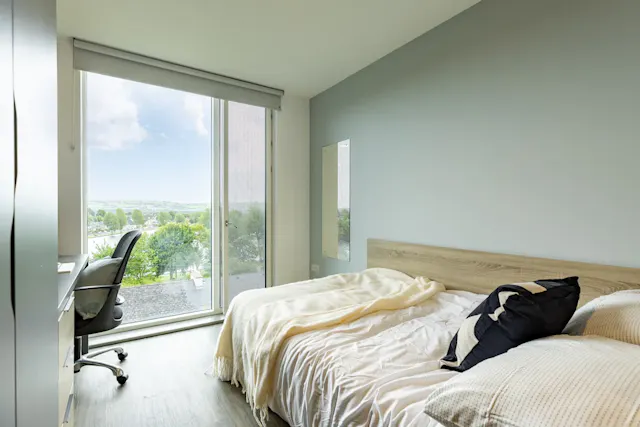 Premium Plus room image 1