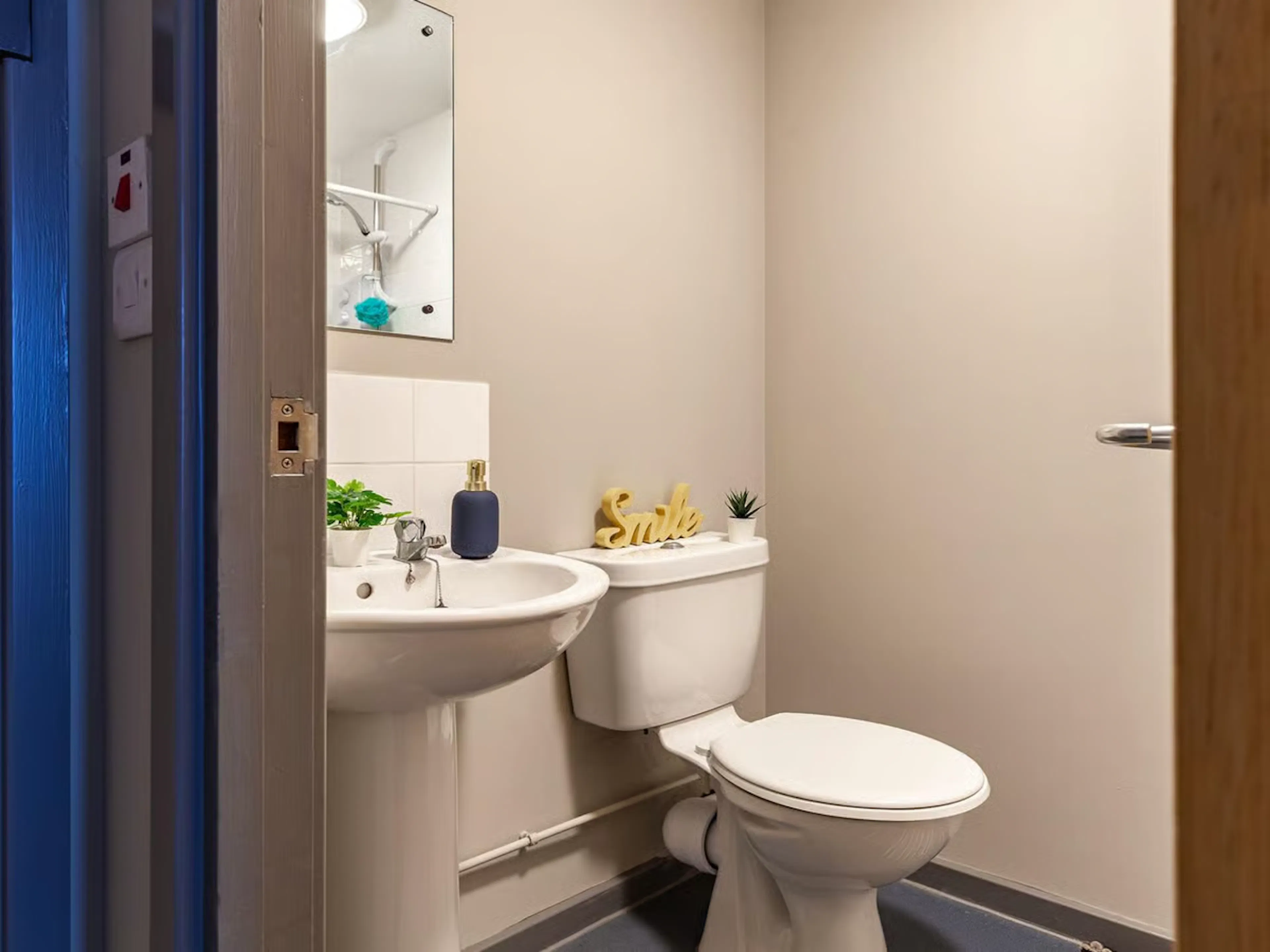 Premium Plus Ensuite BATHROOM 2