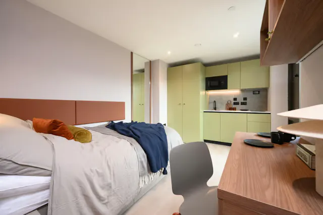 Premium Plus Studio Castle View room image 1