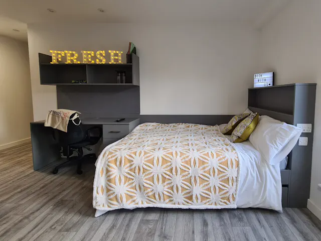 Premium Plus Studio room image 2