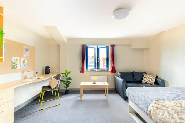 Premium Plus Studio room image 2