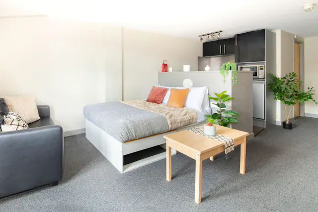 Premium Plus Studio room image 1