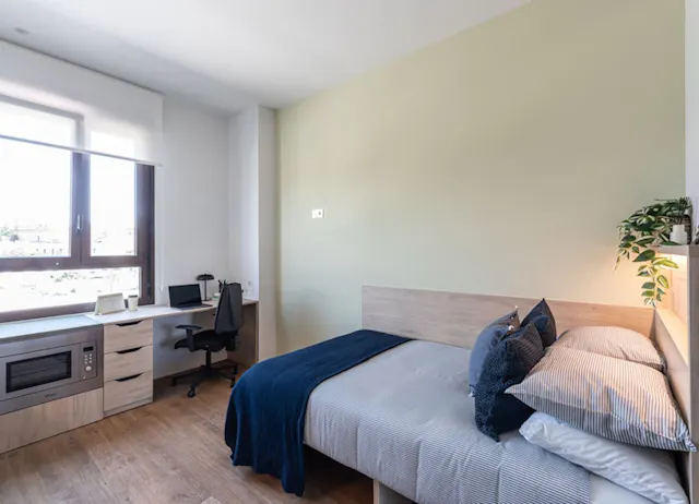 Premium Plus Studio room image 1