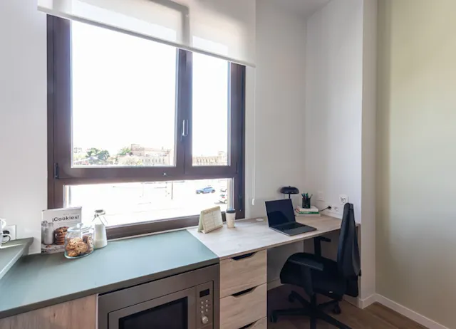 Premium Plus Studio room image 3