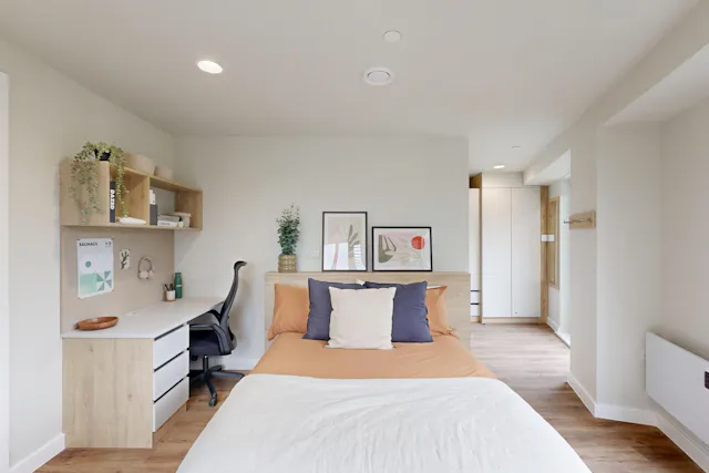Premium Plus Studio room image 1