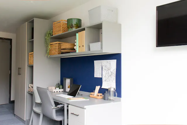 Premium Plus Studio room image 2