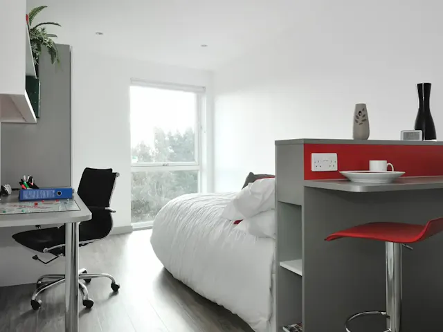 Premium Plus Studio room image 1
