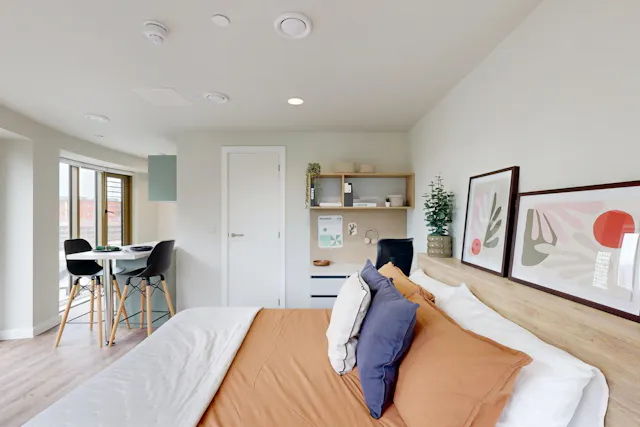 Premium Plus Studio room image 2