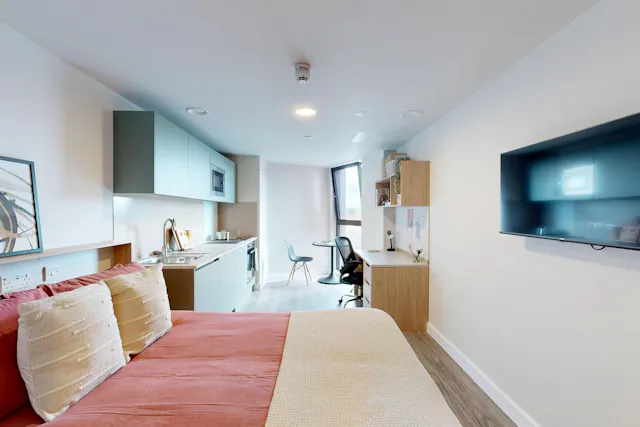Premium Plus Studio room image 2
