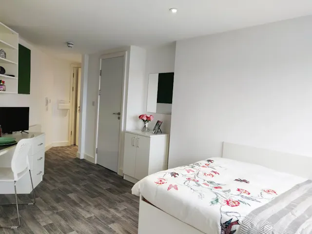 Premium Plus Studio room image 2