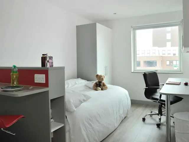 Premium Plus Studio room image 2