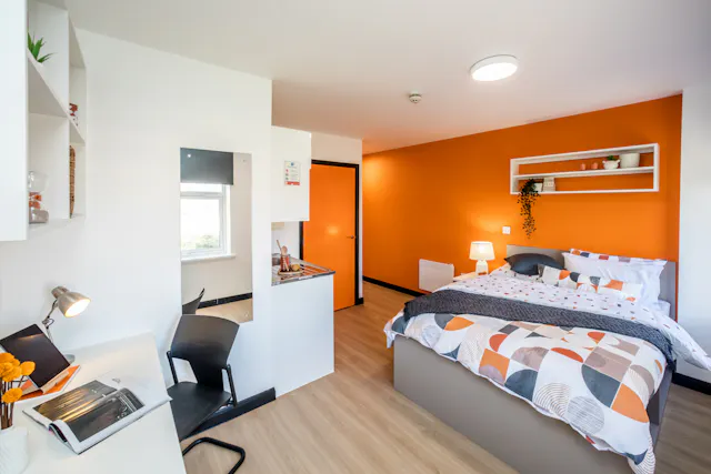 Premium Plus room image 1