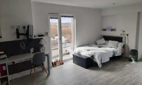 Premium Plus Studio room image 1