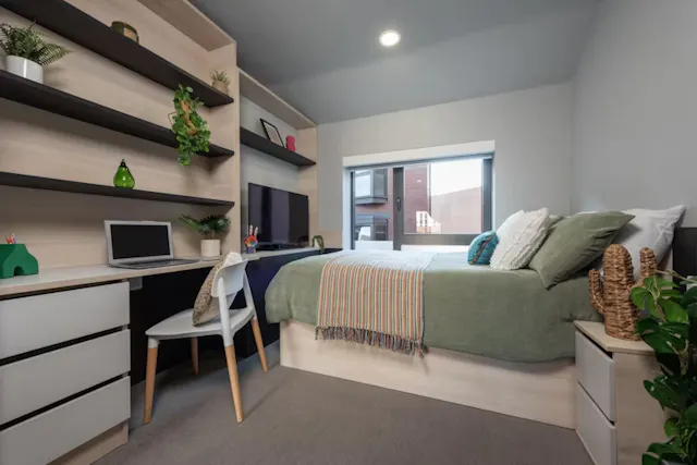 Premium Plus Studio room image 1