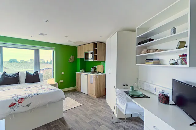 Premium Plus Studio room image 1