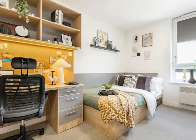 Premium Plus Studio room image 1