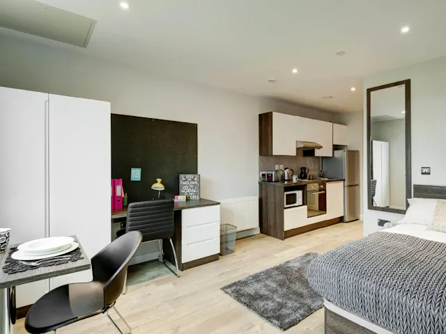 Premium Plus Studio room image 2