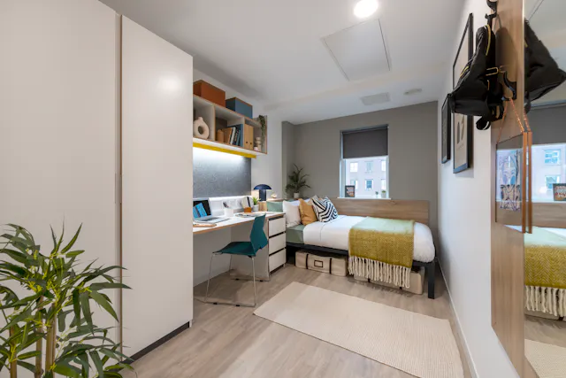 Premium Plus room image 1