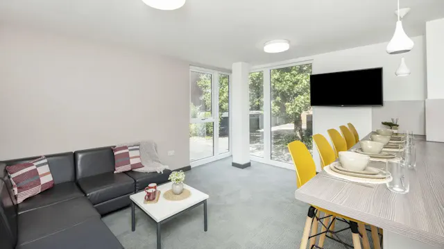Premium Plus room image 4