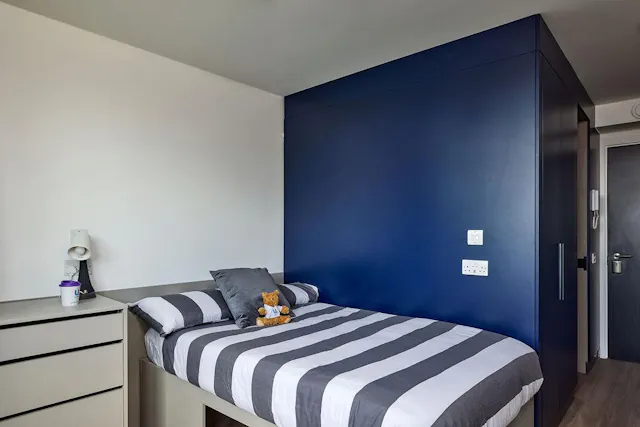 Premium Plus Studio room image 1