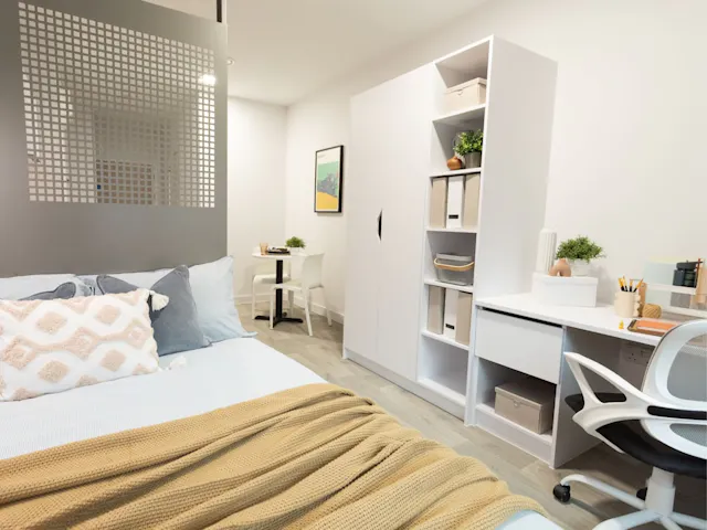 Premium Studio room image 1