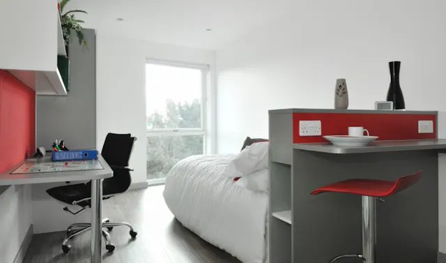 Deluxe Studio room image 1