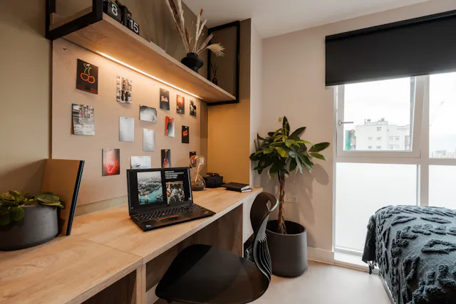 Premium Studio room image 3