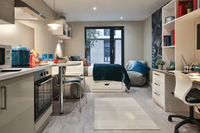 Premium Studio room image 1