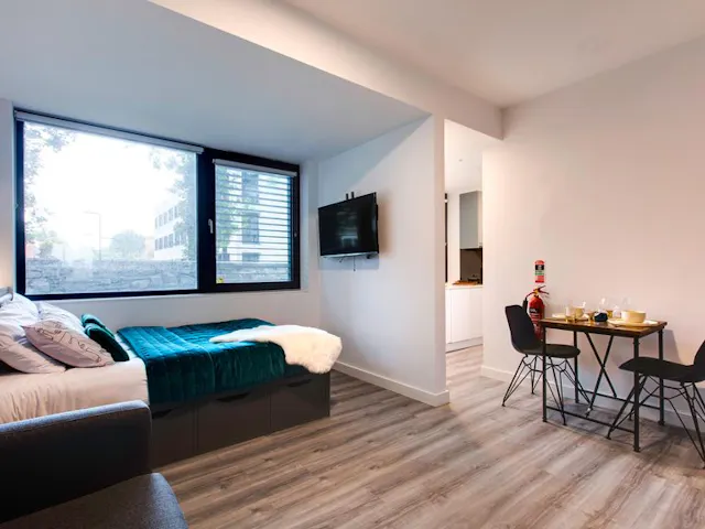 Deluxe Studio room image 1