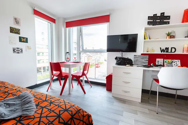 Premium Studio room image 2
