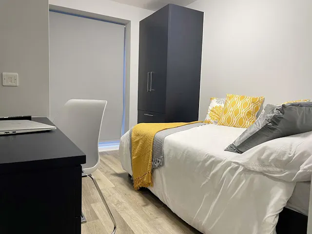 Premium Studio room image 1