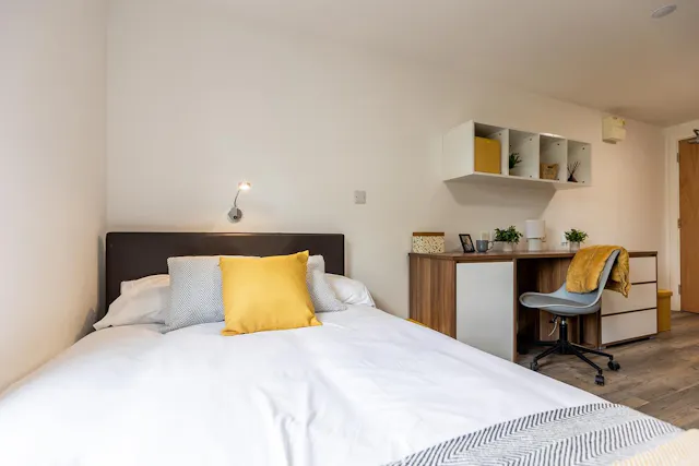 Premium Studio room image 2