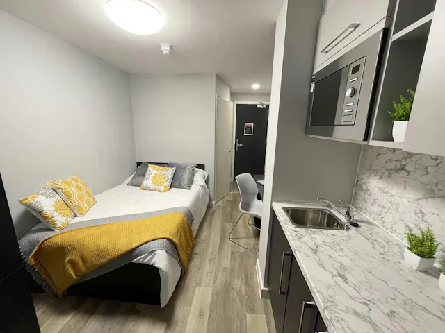 Premium Studio room image 2